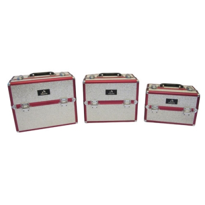 large2 mitsuto beauty case silver gliter